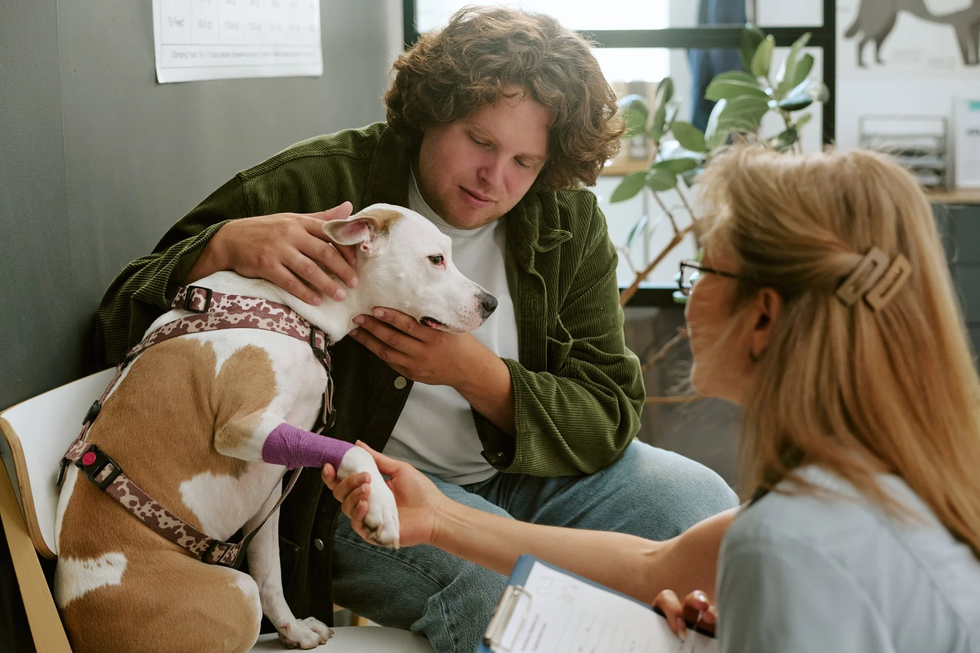 Client petting a therapy dog during a session with a counselor